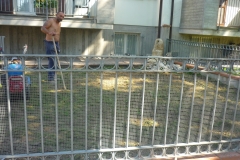 Placci Faenza